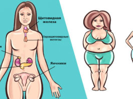 6 гормонов, которые не дают вам скинуть вес. Вот что делать с каждым из них
