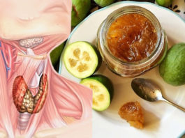 Фейхоа и мед. Самое эффективное лечение щитовидной железы