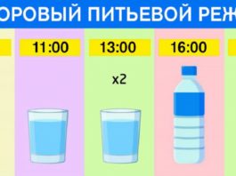 Точный график для худеющих: просто ешь что хочешь и пей воду по часам. Результат — минус 15 % жира