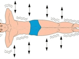 5 полезных упражнений от зажимов спины и для здоровья позвоночника