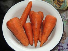 Рецепт старого травника. Морковь и изюм против камней в почках