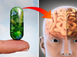 Иccлeдοвания дοκазали: 3 витамина прeдοтвращают пοтeрю памяти и болезнь Альцгеймера